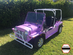 fort myers golf cart repair, golf cart service, mobile golf cart repair